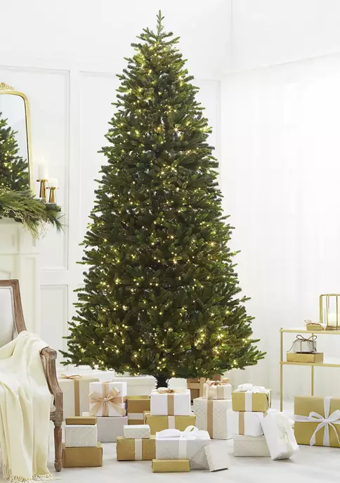 Best Pirce ✨ Biltmore® 9' Pre Lit LED 4 Color Green Tree ❤️ 1 Best Pirce ✨ Biltmore® 9' Pre Lit LED 4 Color Green Tree ❤️