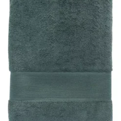 Promo 🛒 Biltmore® Egyptian Towel Collection 🎉 -Gleam Hearth Sales Belk 34