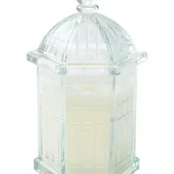 Flash Sale 👍 Biltmore® Eucalyptus Fern 9.5 Ounce Candle 🥰 -Gleam Hearth Sales Belk 590